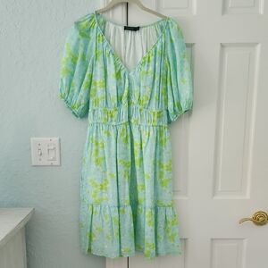Vineyard Vines Light Blue and Green Floral Dress
